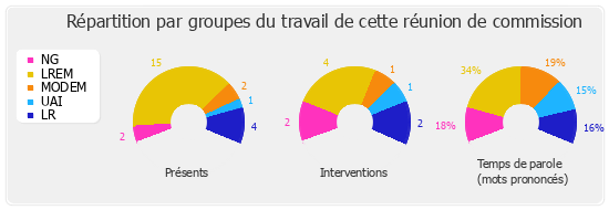 Répartition par groupes du travail de cette réunion de commission