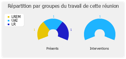 Répartition par groupes du travail de cette réunion