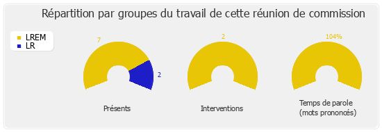 Répartition par groupes du travail de cette réunion de commission