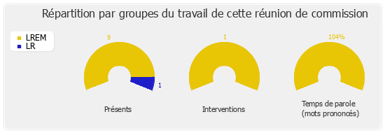 Répartition par groupes du travail de cette réunion de commission