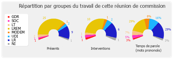 Répartition par groupes du travail de cette réunion de commission