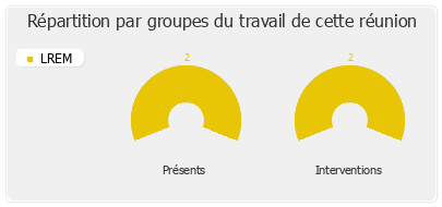 Répartition par groupes du travail de cette réunion