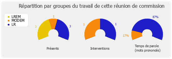 Répartition par groupes du travail de cette réunion de commission