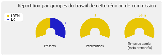 Répartition par groupes du travail de cette réunion de commission